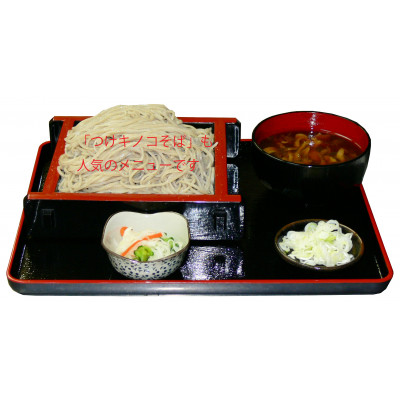 道の駅かつら専用商品券B　6,000円分(500円×12枚のセット) (AF008)