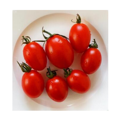 鬮倡ウ門コヲ繝溘ル繝医槭ヨ縲繧「繧、繧ウ 邏150gテ7pc (闌ィ蝓守恁蜈ア騾夊ソ皮、シ蜩:縺、縺上ー縺ソ繧峨>蟶ら肇) (BR173)