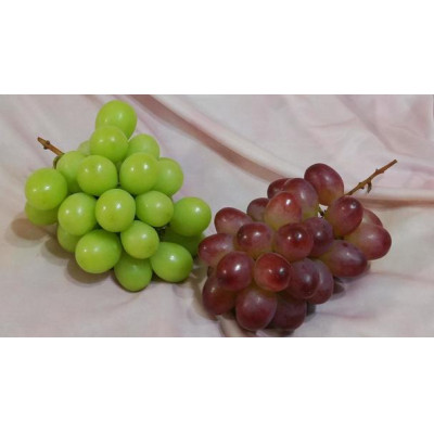 ＜2025年8月より順次発送予定＞ぶどう5品種食べ比べ(県内共通返礼品:かすみがうら市産) (BR077)