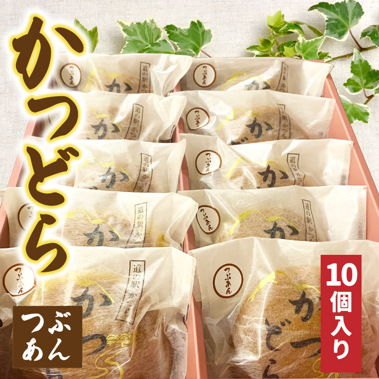 かつどら10個入り【つぶあん】 (AF044)