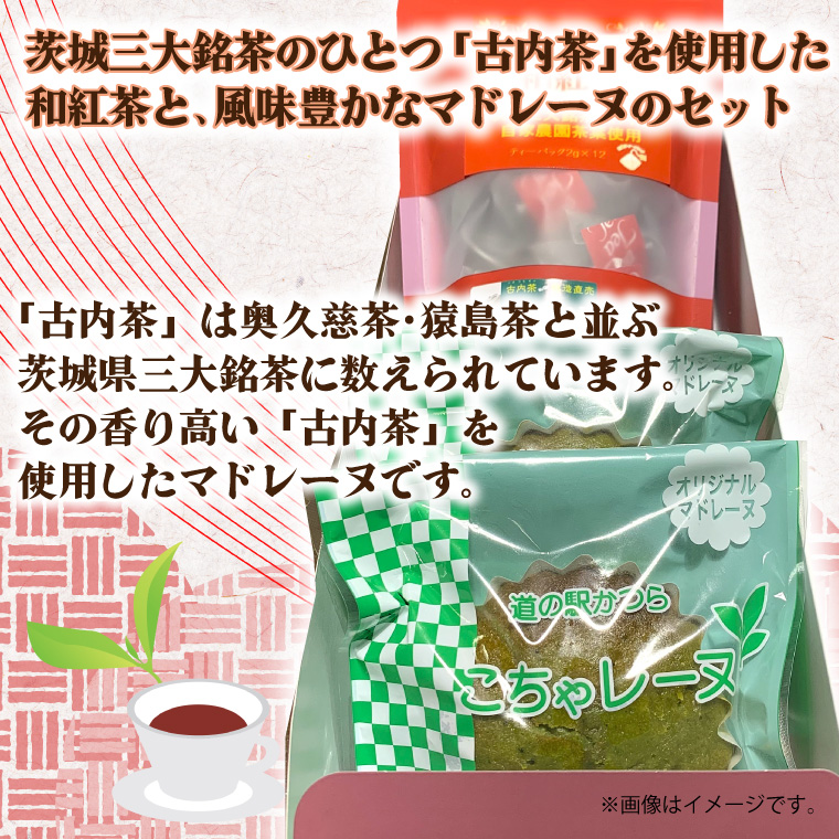 蜥檎エ闌カ縺ィ縺薙■繧繝ャ繝シ繝鯉シ灘九そ繝繝 (AF058)