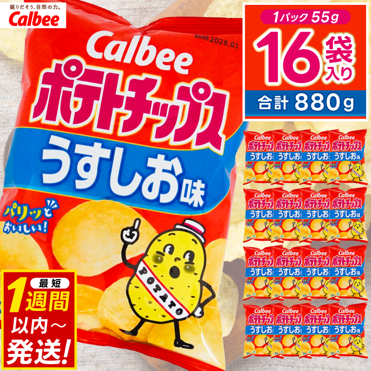 ポテトチップス カルビー うすしお味 55g×16袋 (BG026)