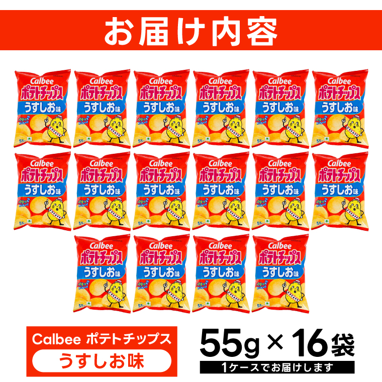 ポテトチップス カルビー うすしお味 55g×16袋 (BG026)