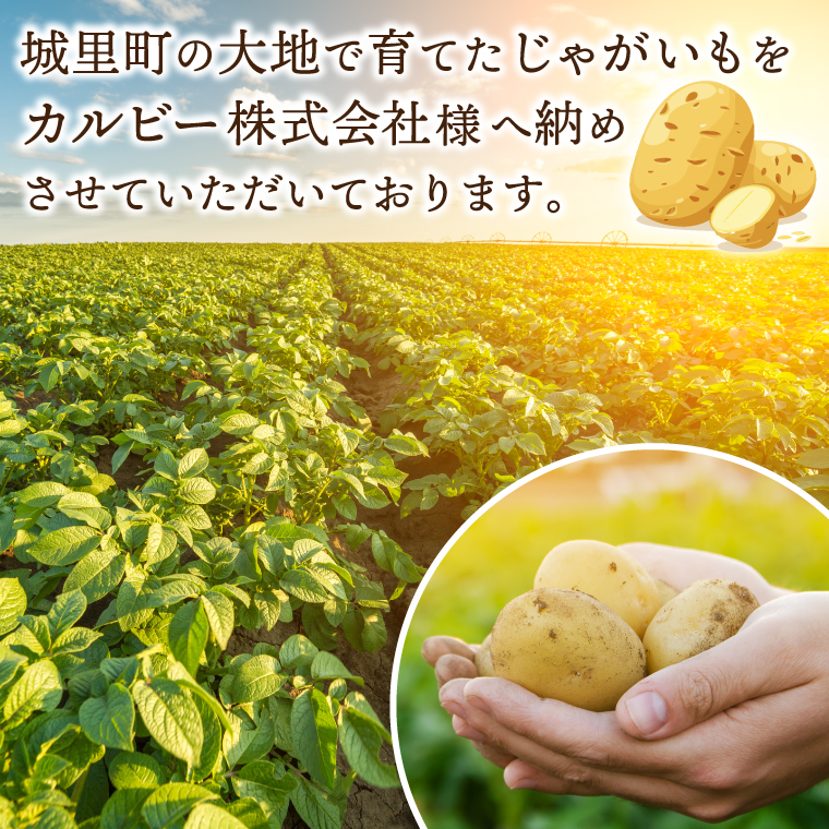 ポテトチップス 堅あげポテト うすしお味 カルビー 65g×12袋 (BG030)