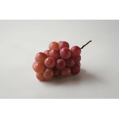 旬なぶどう おまかせ 食べ比べ 700g × 4房 ＜2026年8月より順次発送＞ (県内共通返礼品:かすみがうら市産) シャインマスカット 巨峰 ピオーネ ゴルビー クインニーナ 我が道 先行予約 ぶどう ブドウ 葡萄 フルーツ 茨城 新鮮 (BR185)