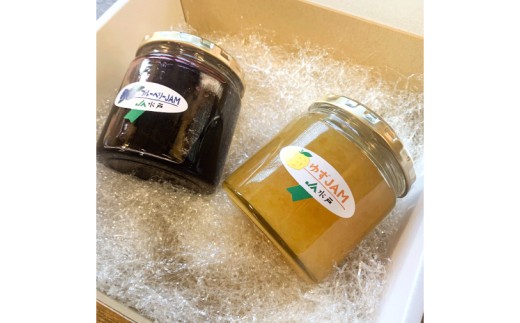ジャム2種セット【ゆず・ブルーベリー】(AF116)