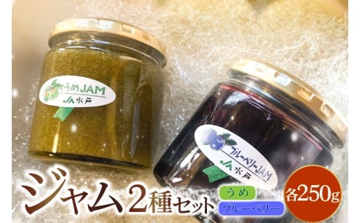 ジャム2種セット【うめ・ブルーベリー】(AF117)