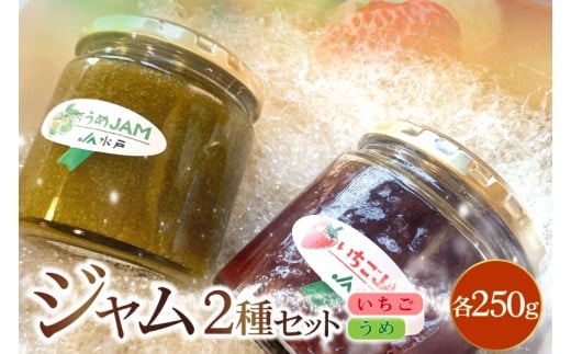 ジャム2種セット【いちご・うめ】(AF119)