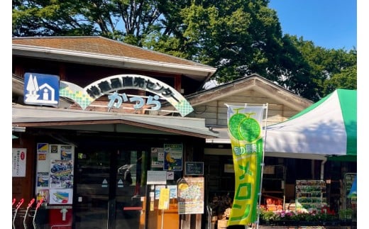 珈琲2種(ドリップバッグ)とかつどら5個【栗】(AF146)