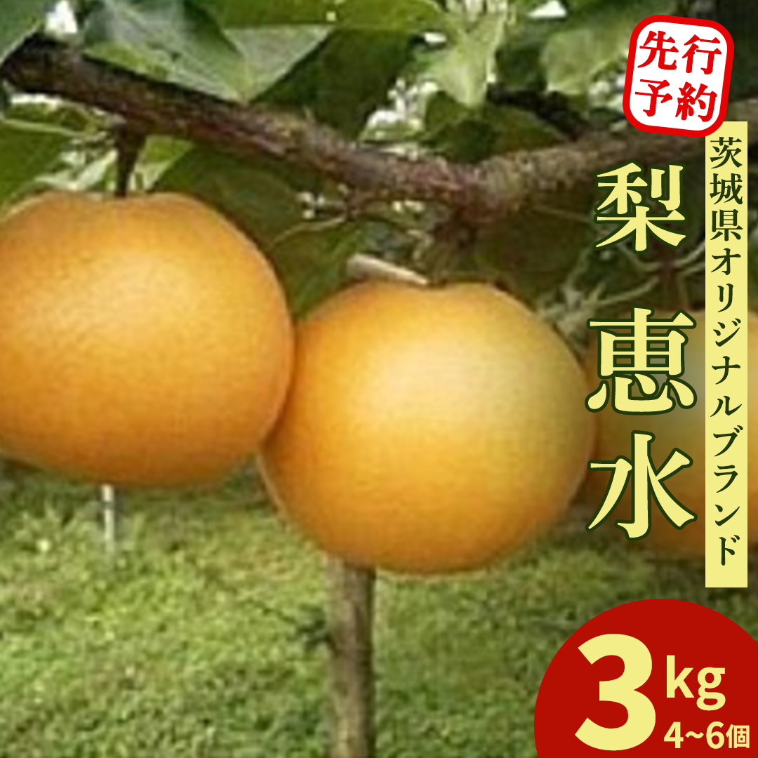＜農家直送＞梨 茨城県オリジナルブランド品種 恵水 大玉サイズ4～6個(約3kg) 先行予約 2026年発送 完熟 フルーツ 果物 産地直送 糖度 高い 梨 茨城  人気 (BB004)