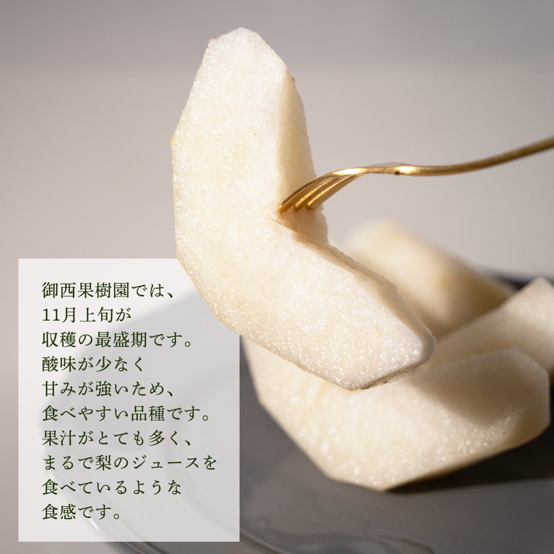 ïŒèŸ²å®¶çŽéïŒæ¢š ã«ã£ãã 4ïœ6å (3kg) å
è¡äºçŽ 2026幎çºé å®ç ãã«ãŒã æç© ç£å°çŽé ç³åºŠ é«ã 梚 èšå äººæ° (BB006)