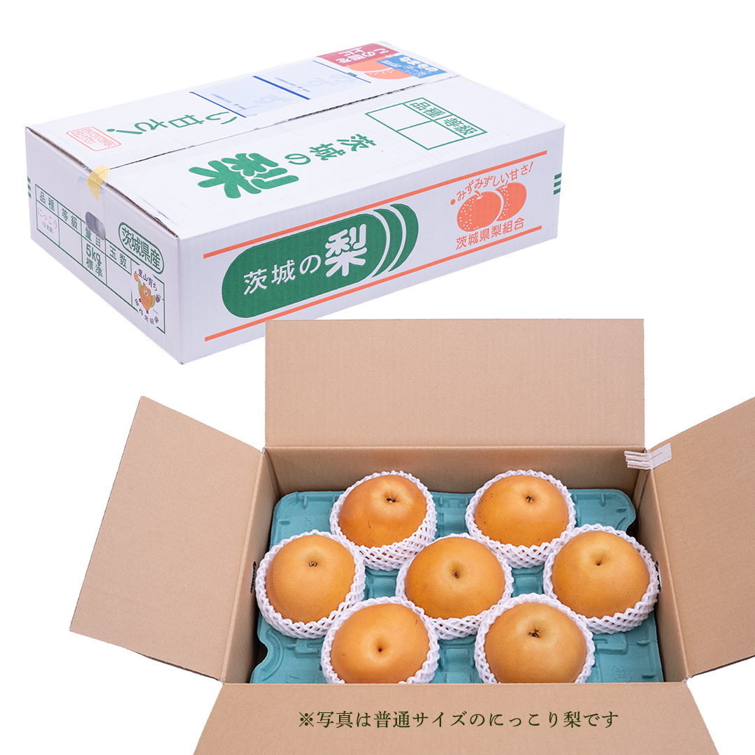 ïŒèŸ²å®¶çŽéïŒæ¢š ã«ã£ãã 4ïœ6å (3kg) å
è¡äºçŽ 2026幎çºé å®ç ãã«ãŒã æç© ç£å°çŽé ç³åºŠ é«ã 梚 èšå äººæ° (BB006)