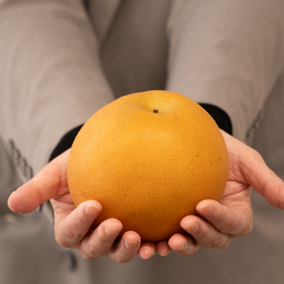 ïŒèŸ²å®¶çŽéïŒæ¢š ã«ã£ãã 4ïœ6å (3kg) å
è¡äºçŽ 2026幎çºé å®ç ãã«ãŒã æç© ç£å°çŽé ç³åºŠ é«ã 梚 èšå äººæ° (BB006)