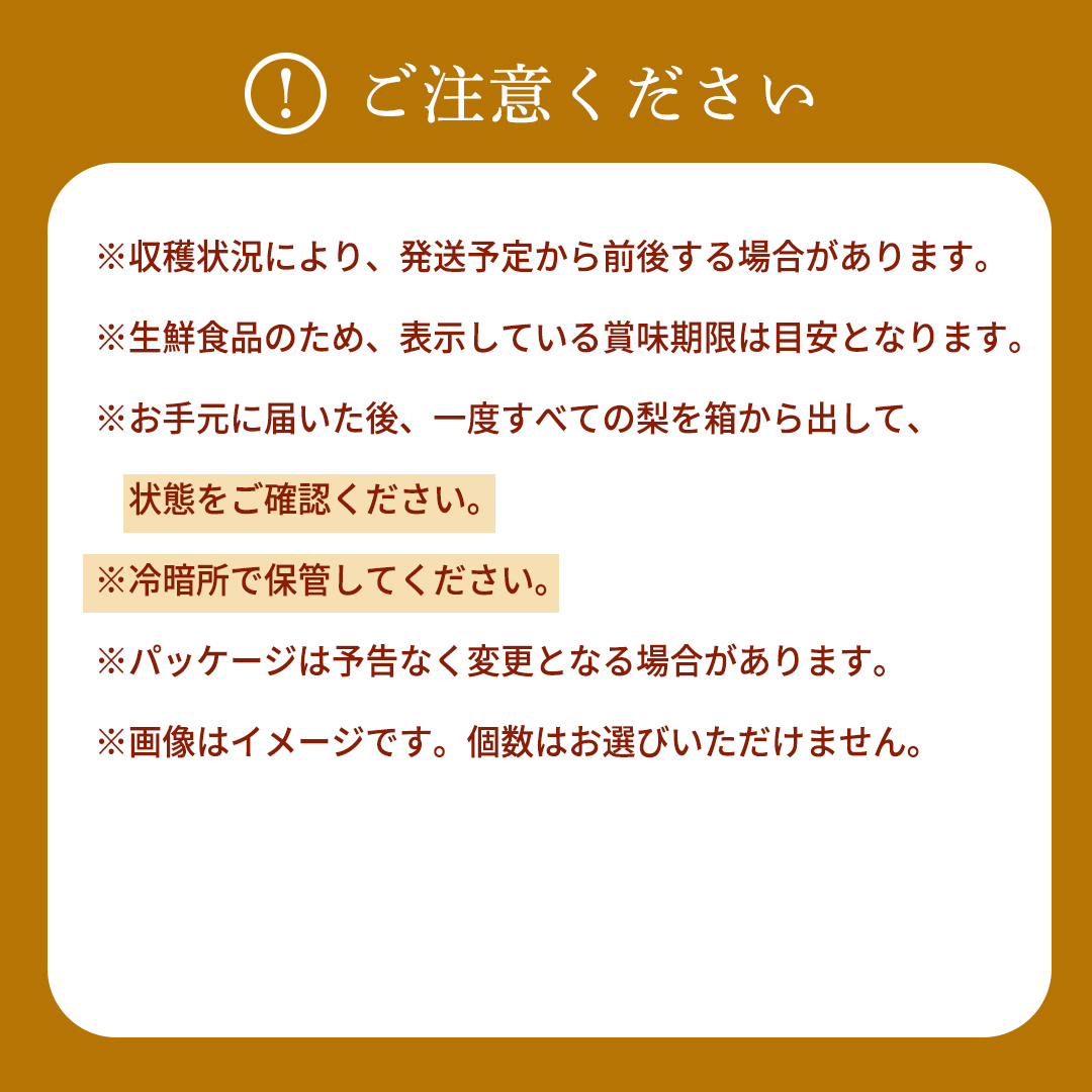 ＜農家直送＞梨 茨城県オリジナルブランド品種 恵水 大玉サイズ4～6個(約3kg) 先行予約 2026年発送 完熟 フルーツ 果物 産地直送 糖度 高い 梨 茨城  人気 (BB004)