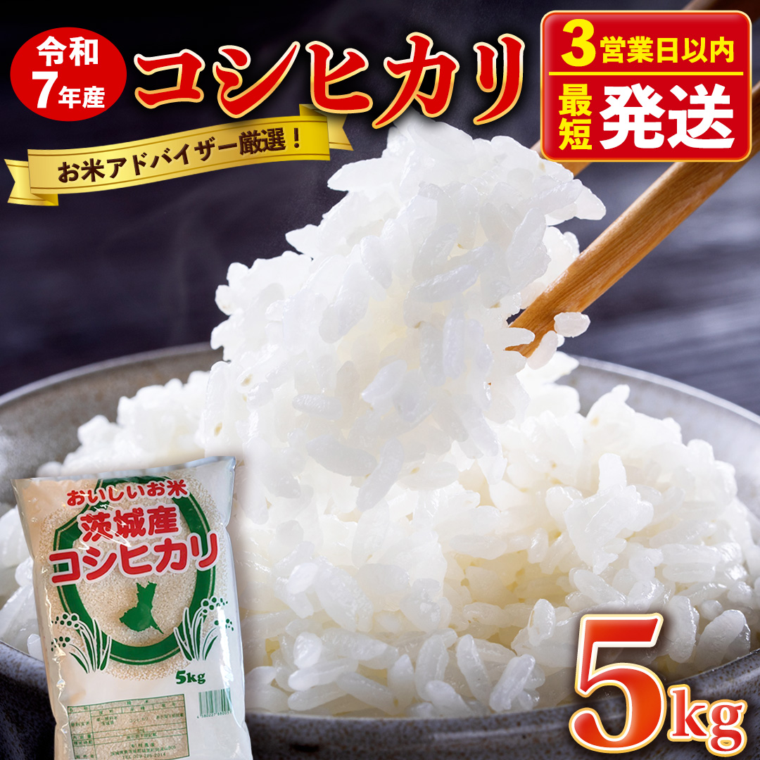 【最短3～7営業日出荷】 コシヒカリ 精米 5kg 令和7年産 産地直送 茨城県 城里町 精白米 米 ご飯 こしひかり 米 白米 精米 単一原料米 (AX018)