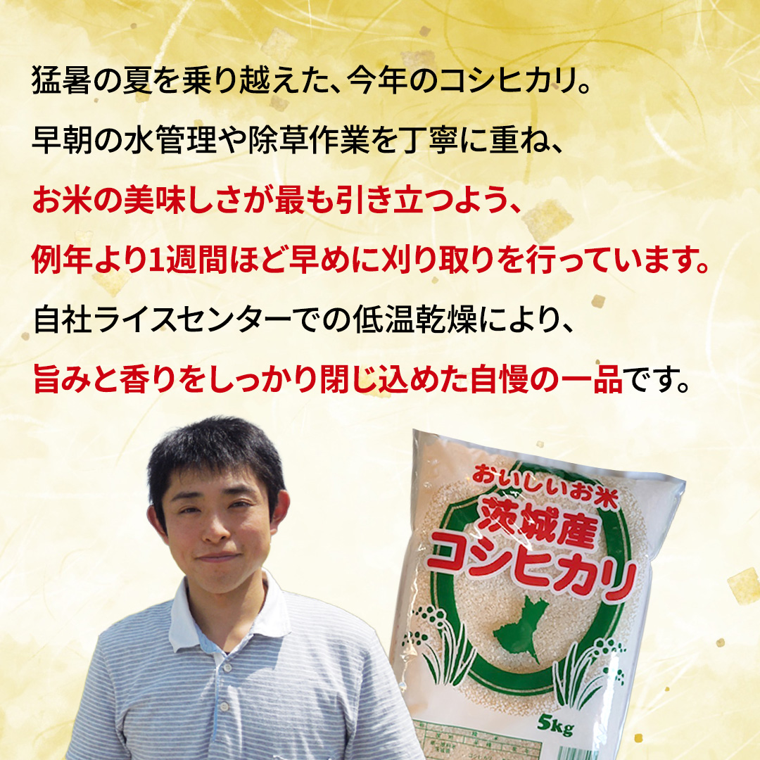 【最短3～7営業日出荷】 コシヒカリ 精米 5kg 令和7年産 産地直送 茨城県 城里町 精白米 米 ご飯 こしひかり 米 白米 精米 単一原料米 (AX018)
