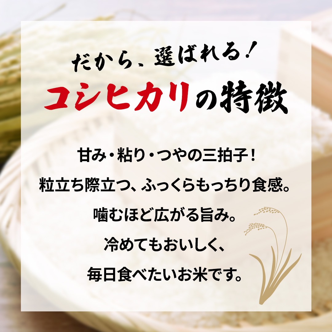 【最短3～7営業日出荷】 コシヒカリ 精米 5kg 令和7年産 産地直送 茨城県 城里町 精白米 米 ご飯 こしひかり 米 白米 精米 単一原料米 (AX018)