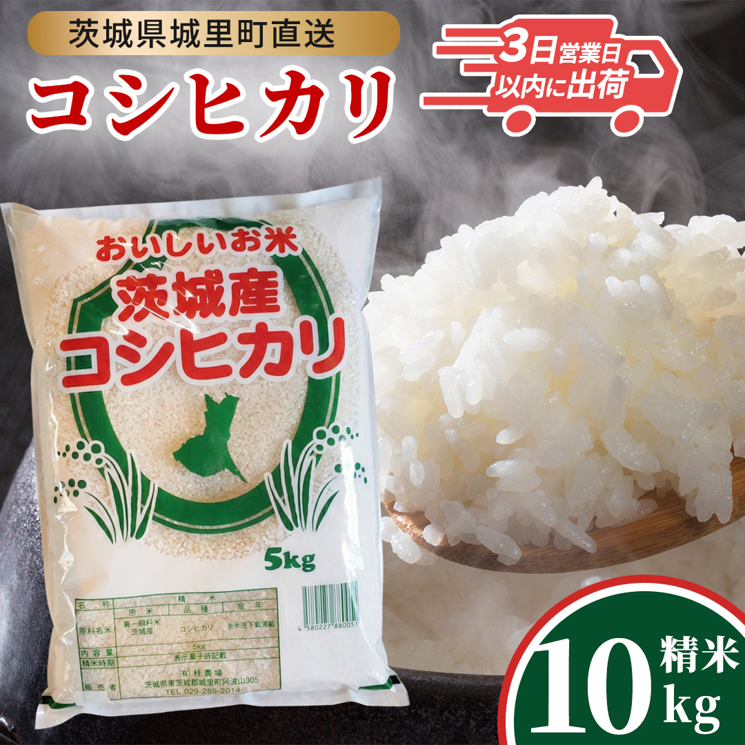 ＼最短3営業日以内出荷／  コシヒカリ 精米 10kg 令和7年産 産地直送 茨城県 城里町 精白米 米 ご飯 こしひかり 米 白米 精米 単一原料米