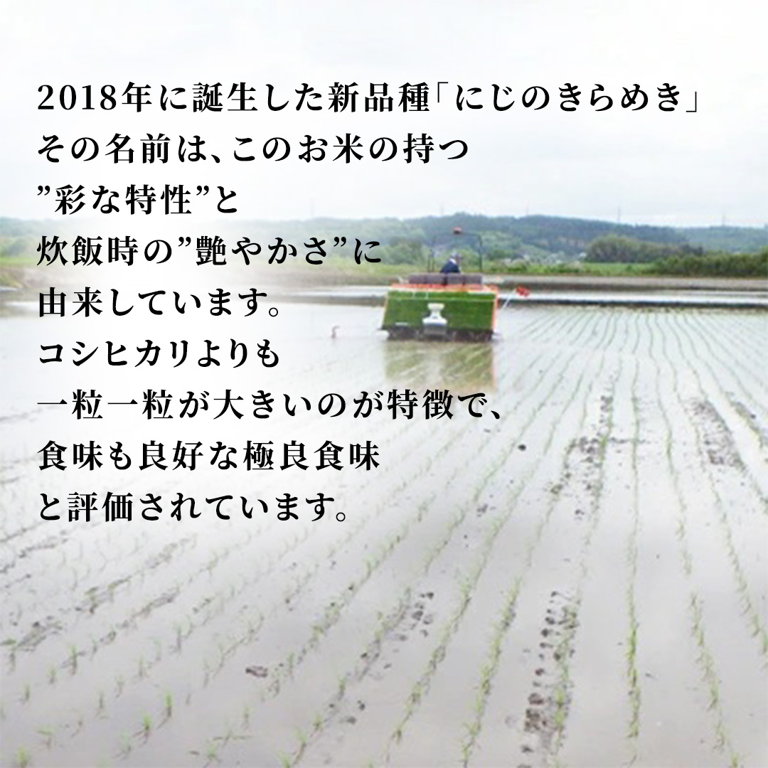 【令和8年産】にじのきらめき 精米 10kg  (5kg×2袋) 2026年9月発送開始 関東地方限定配送 先行予約 産地直送 茨城県 城里町 新米 精白米 米 ご飯 米 白米 精米 単一原料米 (AX034)