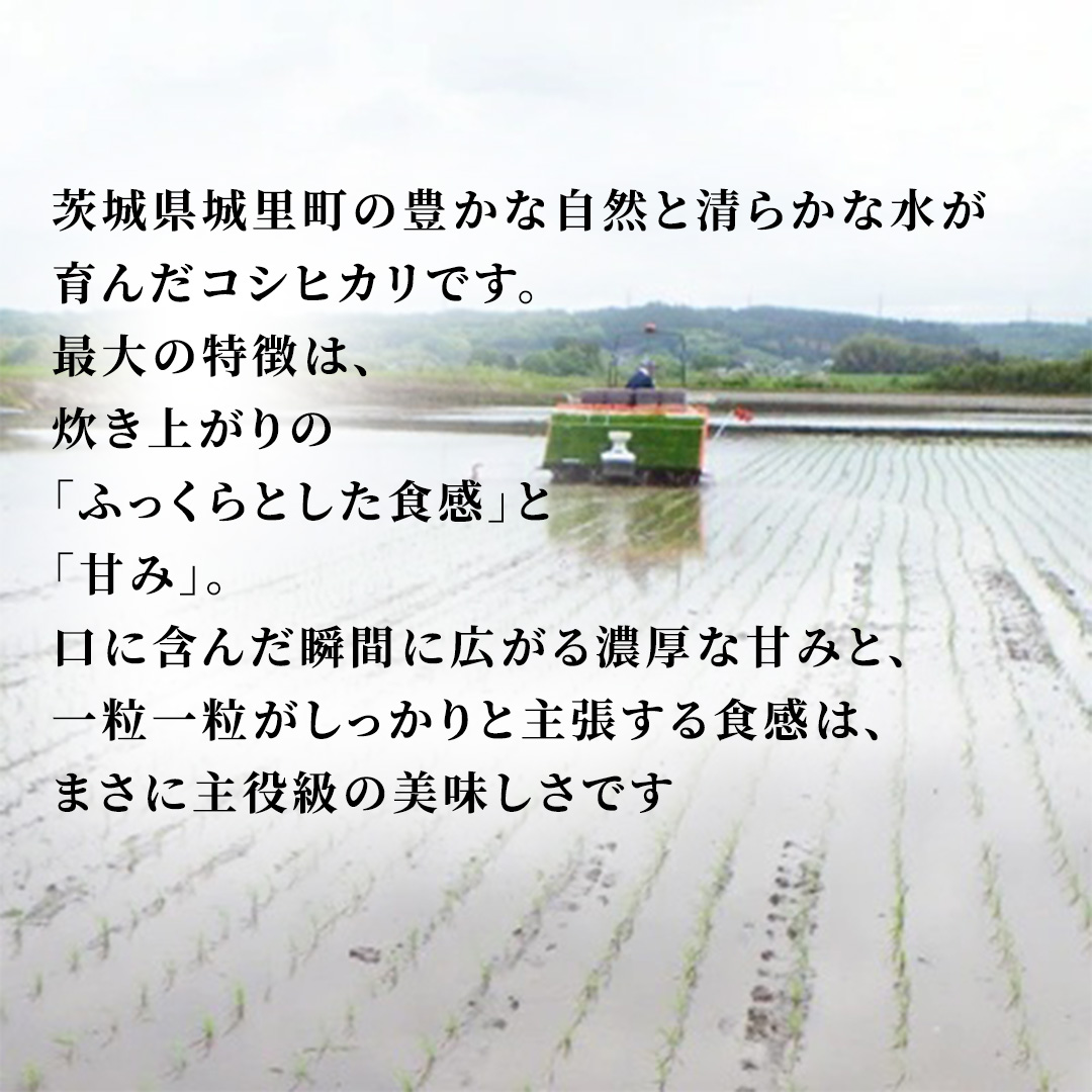 【 3回 定期便 】 コシヒカリ 10kg ×3回  令和7年 精米 関東地方限定配送産地直送 茨城県 城里町 新米 精白米 米 ご飯 こしひかり 米 白米 精米 単一原料米(AX041)