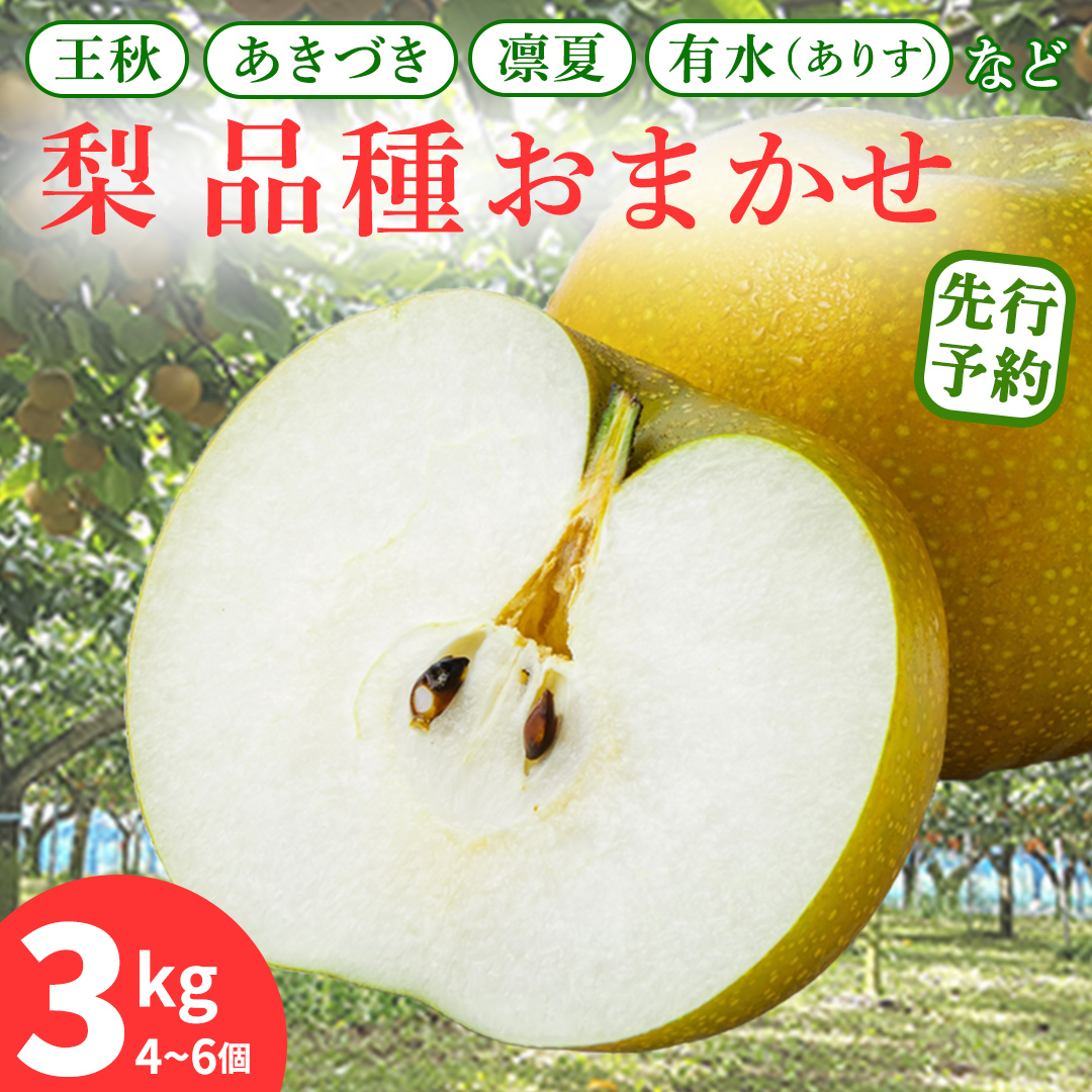 【先行予約】旬の品種を厳選！梨 品種 おまかせ 4～6個 （ 約3kg ） 2026年先行予約 農家直送 恵水 王秋 あきあかり あきづき りんか 完熟 フルーツ 果物 産地直送 糖度 高い 梨 茨城 人気 （BB008）