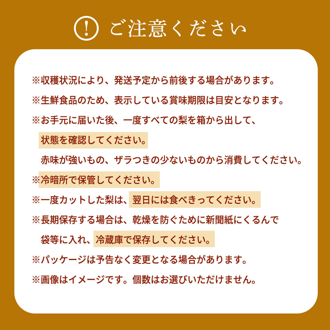 【先行予約】旬の品種を厳選！梨 品種 おまかせ 4～6個 （ 約3kg ） 2026年先行予約 農家直送 恵水 王秋 あきあかり あきづき りんか 完熟 フルーツ 果物 産地直送 糖度 高い 梨 茨城 人気 （BB008）