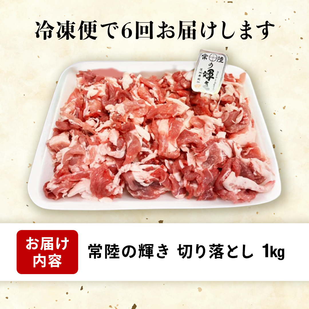 【 6カ月 定期便 】茨城県 銘柄豚 「 常陸の輝き 」 切り落とし 1kg入り ブランド豚 茨城県銘柄豚 切り落とし肉 豚丼 豚汁 冷凍 定期便 生活 定期便 生活 定期 応援 6回 6ヶ月 霜降り肉 冷凍 ギフト 贈り物 贈答用（AP015）