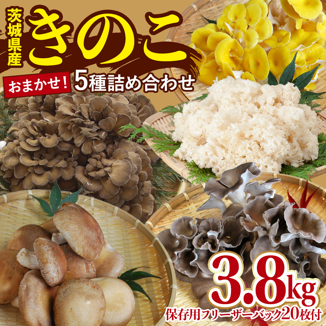 きのこ 5種 詰め合わせ 約3.8kg 【 保存用フリーザーバック 20枚付き 】 大容量 キノコ 舞茸 あわび茸 たもぎ茸 しいたけ 花びら茸 セット 鍋 炒め物 （AU005）