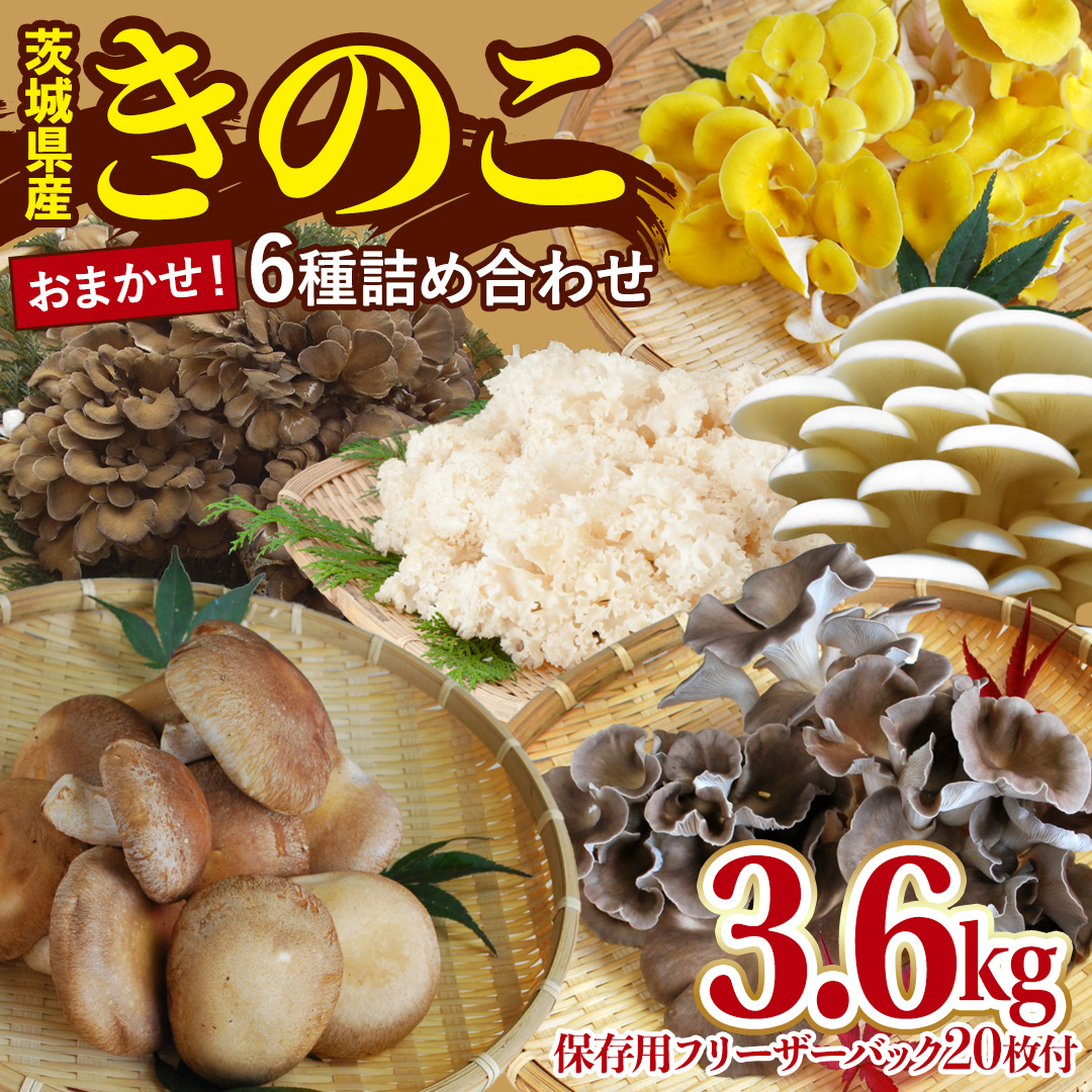 きのこ 6種 詰め合わせ 約3.6kg 【 保存用フリーザーバック 20枚付き 】 大容量 キノコ 舞茸 あわび茸 たもぎ茸 しいたけ 花びら茸 セット 鍋 炒め物 （AU006）