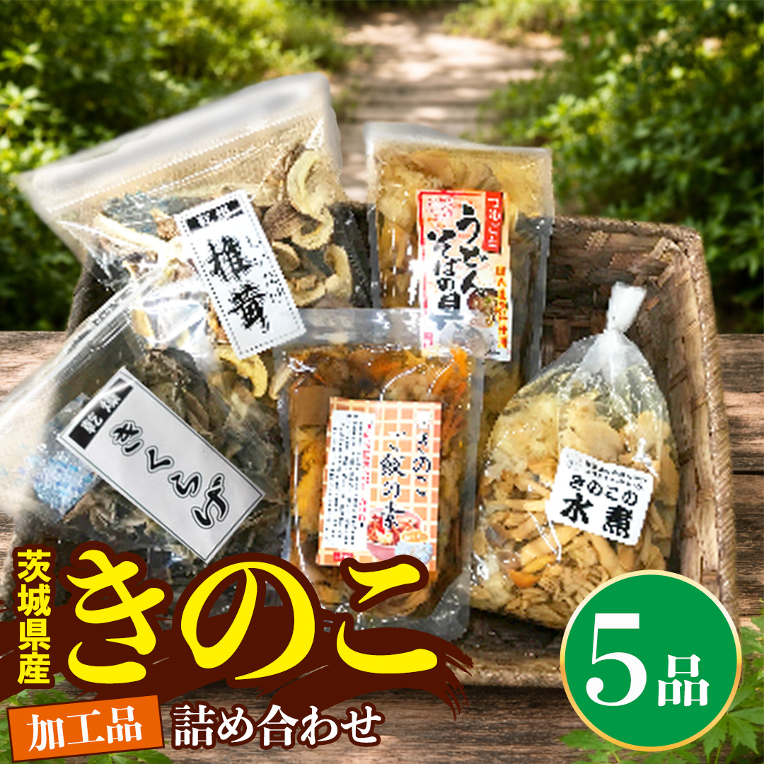 きのこ加工品詰め合わせ5点セット きのこミックス 野菜 水煮 国産 きのこ ご飯の素 国産 うどん そばの具 乾燥 しいたけ 乾燥 きくらげ 乾燥きのこ(AU003)
