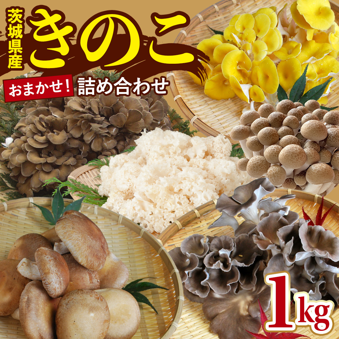 きのこの詰め合わせ 約1kg Sサイズ 大容量 キノコ 舞茸 あわび茸 たもぎ茸 しいたけ ぶなしめじ セット 鍋 炒め物 茨城県 城里町産 (AU004)