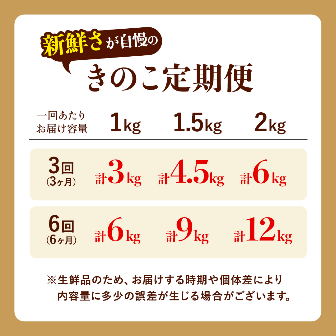 きのこの詰め合わせ 約1kg Sサイズ 大容量 キノコ 舞茸 あわび茸 たもぎ茸 しいたけ ぶなしめじ セット 鍋 炒め物 茨城県 城里町産 (AU004)