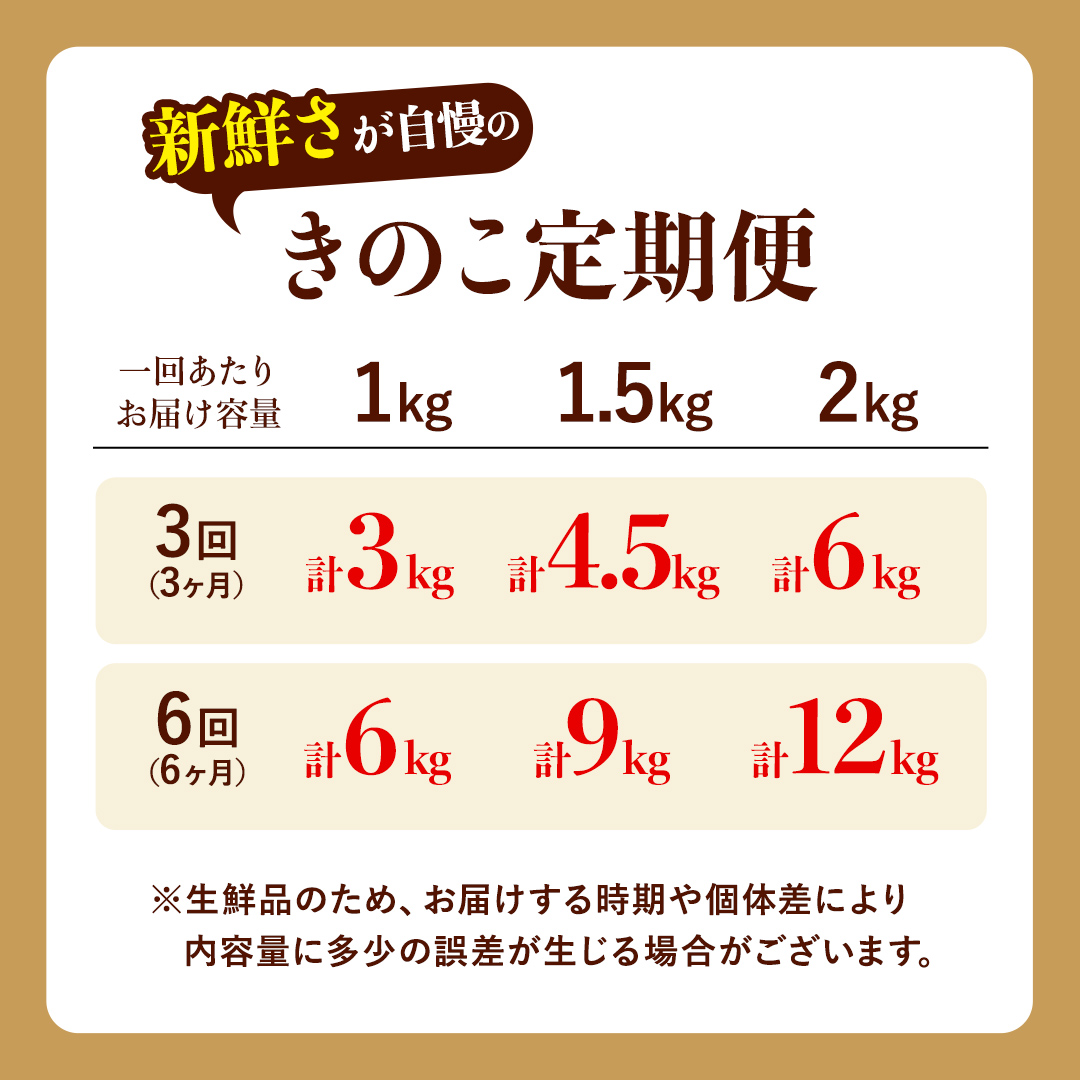 【 3ヶ月 連続定期便 】 きのこ の 詰め合わせ Sサイズ 約1kg 大容量 キノコ 舞茸 あわび茸 たもぎ茸 しいたけ ぶなしめじ セット 鍋 炒め物 茨城県 城里町産 定期便 (AU007)