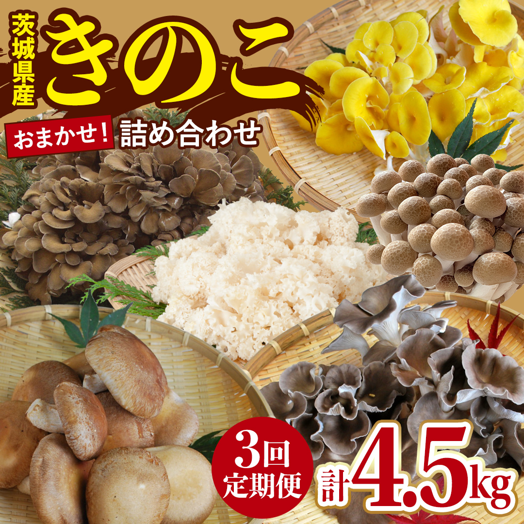 【 3ヶ月 連続定期便 】 きのこ の 詰め合わせ Mサイズ 約1.5kg 大容量 キノコ 舞茸 あわび茸 たもぎ茸 しいたけ ぶなしめじ 花びら茸 セット 鍋 炒め物 茨城県 城里町産 定期便 (AU008)