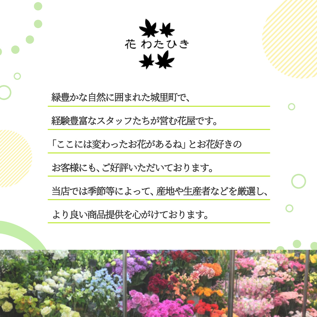 【 6ヶ月 定期便 】季節 の アレンジメント ＜ S ＞ 花 お花 季節の花 生花 記念日 誕生日 自宅用 インテリア 部屋飾り 装飾 贈答 ギフトプレゼント おしゃれ 茨城県 城里町 (BY004)
