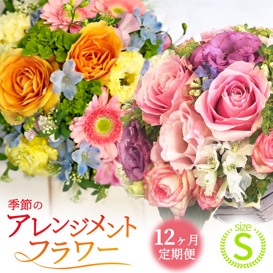 【 12ヶ月 定期便 】季節 の アレンジメント ＜ S ＞ 花 お花 季節の花 生花 記念日 誕生日 自宅用 インテリア 部屋飾り 装飾 贈答 ギフトプレゼント おしゃれ 茨城県 城里町 (BY005)