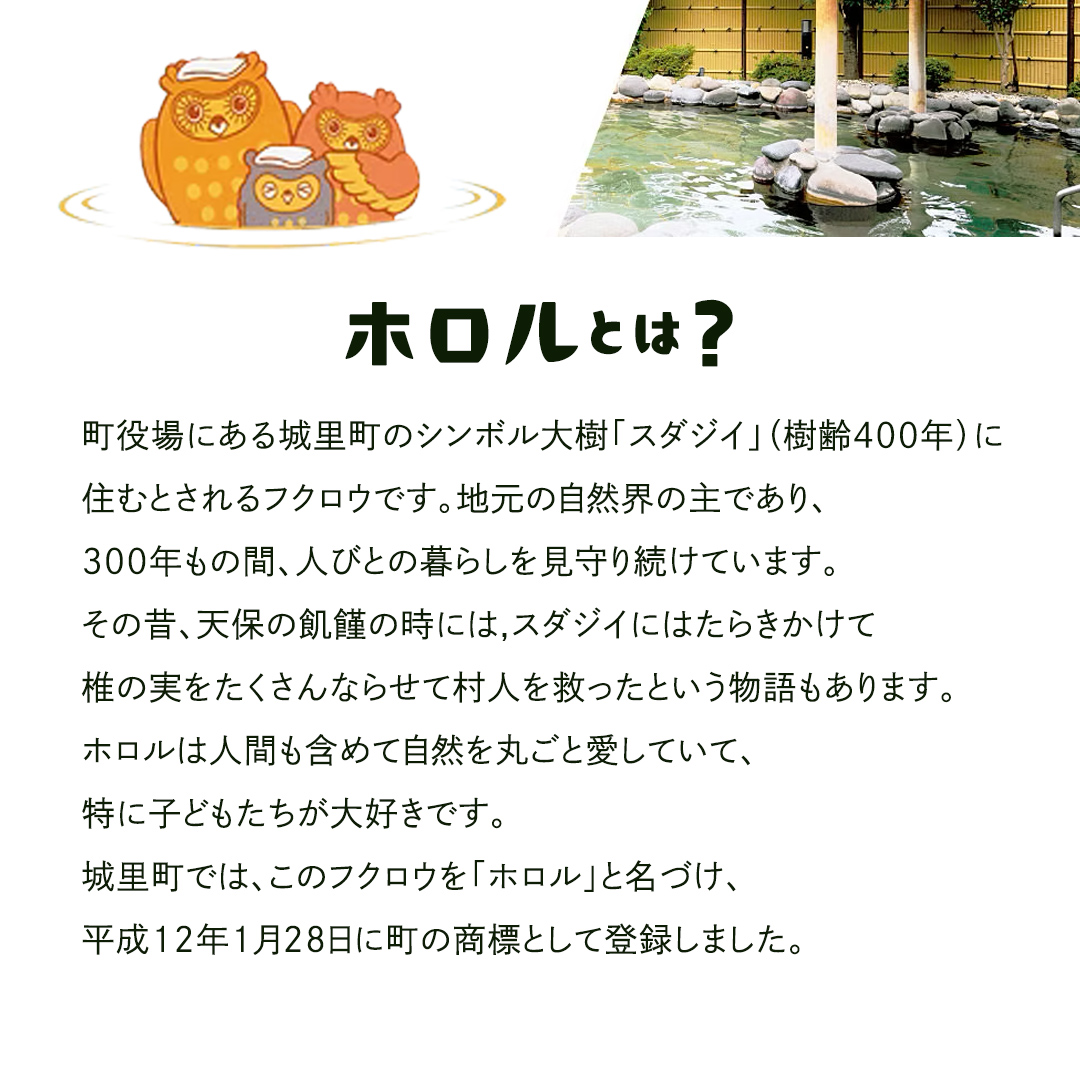 ホロルの湯 招待券 10枚 温泉 大浴場 利用券 回数券 チケット 家族で楽しむ 家族 子供 親子 癒し 休日 夏休み 冬休み 春休み 休み 日帰り温泉 おんせん アルカリ性 ふるさと納税 茨城 城里 (BG001)