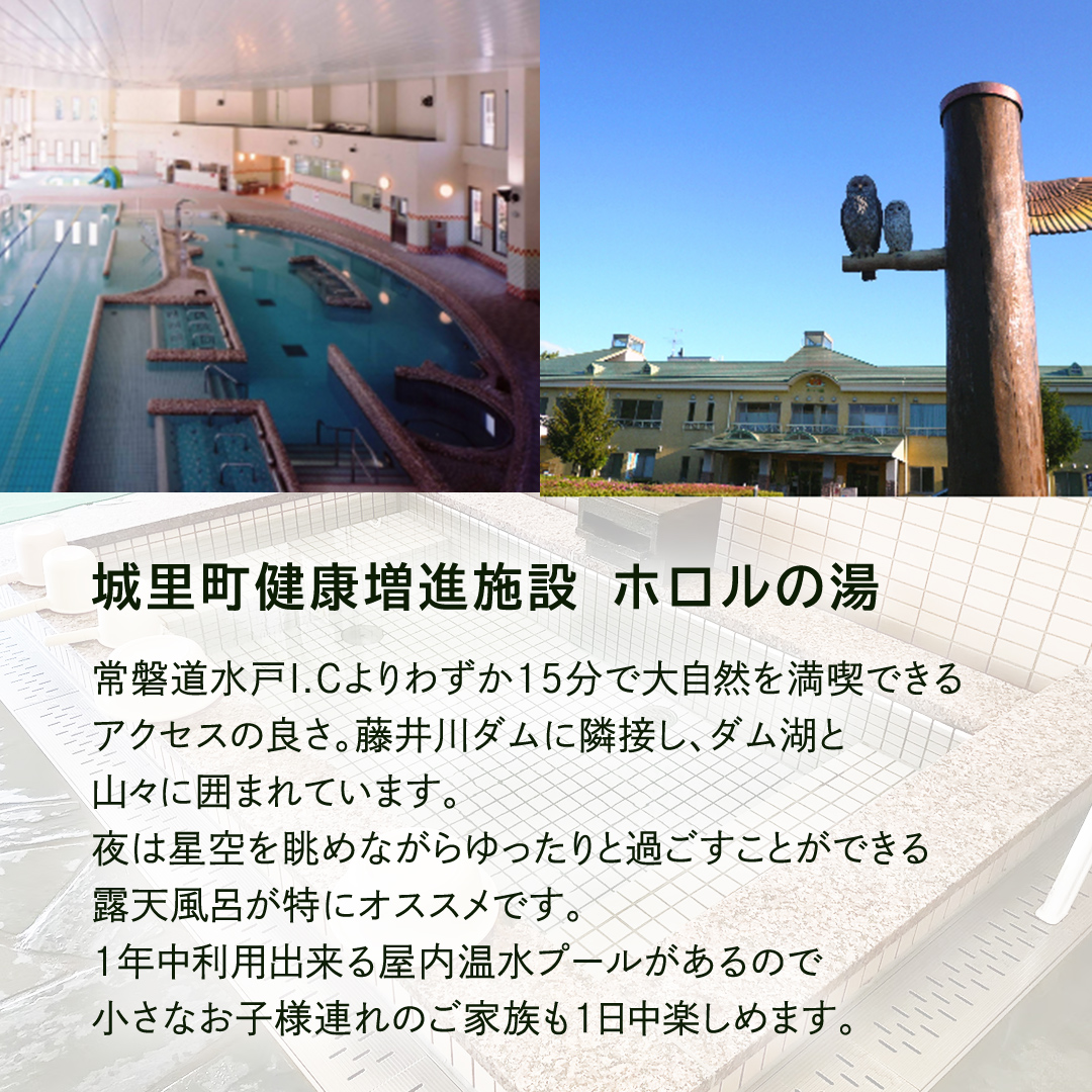 ホロルの湯 個人会員券 ( 大人 ) 温泉 大浴場 利用券 回数券 チケット 家族で楽しむ 家族 子供 親子 癒し 休日 夏休み 冬休み 春休み 休み 日帰り温泉 おんせん アルカリ性 ふるさと納税 茨城 城里 (BG011)