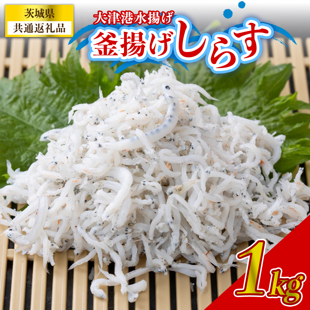 大津港水揚げの釜揚げしらす 1kg (茨城県共通返礼品:北茨城市) (BC003)