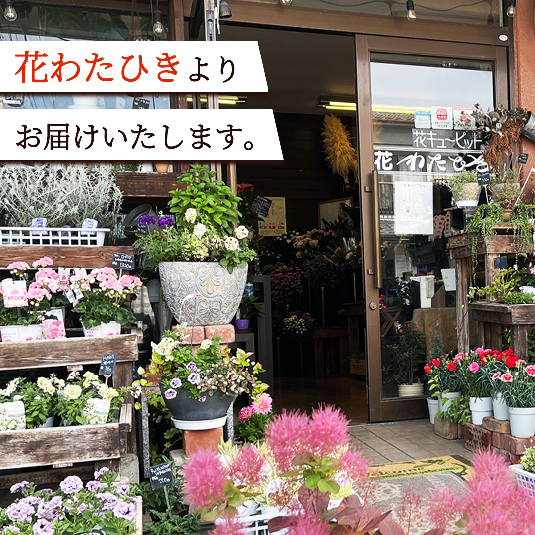 【 3ヶ月 定期便 】季節 の フラワーアレンジメント ＜ S ＞ 花 お花 季節の花 生花 記念日 誕生日 自宅用 インテリア 部屋飾り 装飾 贈答 ギフトプレゼント おしゃれ 茨城県 城里町 (BY003)