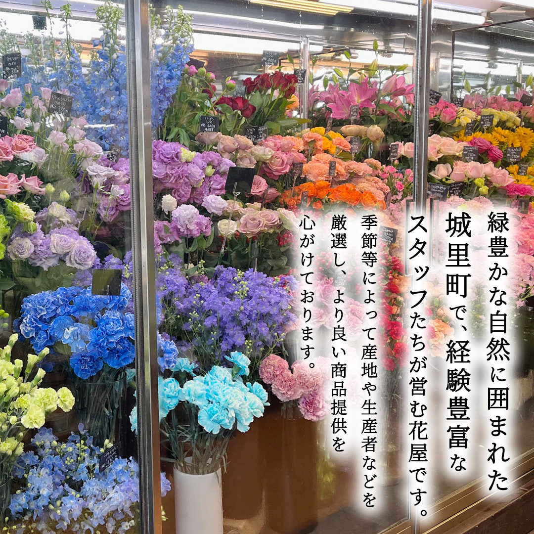 【 12ヶ月 定期便 】季節 の フラワーアレンジメント ＜ S ＞ 花 お花 季節の花 生花 記念日 誕生日 自宅用 インテリア 部屋飾り 装飾 贈答 ギフトプレゼント おしゃれ 茨城県 城里町 (BY005)
