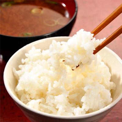 精米 20kg (5kg×4袋) つきあかり【令和7年産】お米 米 ご飯 城里町 桂農産 (AX010)