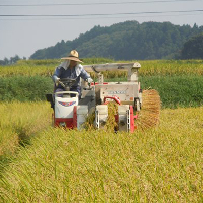 精米 20kg (5kg×4袋) つきあかり【令和7年産】お米 米 ご飯 城里町 桂農産 (AX010)