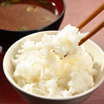  精米 20kg(5kg×4袋) ほたる米【令和7年産】お米 米 ご飯 城里町 桂農産 ＼那珂川の清流ホタル米／(AX011)