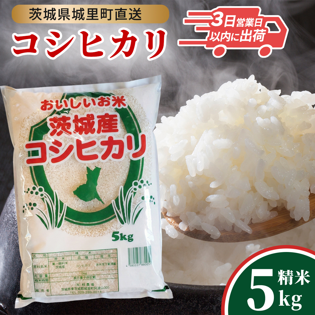 コシヒカリ 精米 5kg 令和7年産 スピード出荷 最短3～7営業日出荷 産地直送 茨城県 城里町 精白米 米 ご飯 こしひかり 米 白米 精米 ( AX012 )