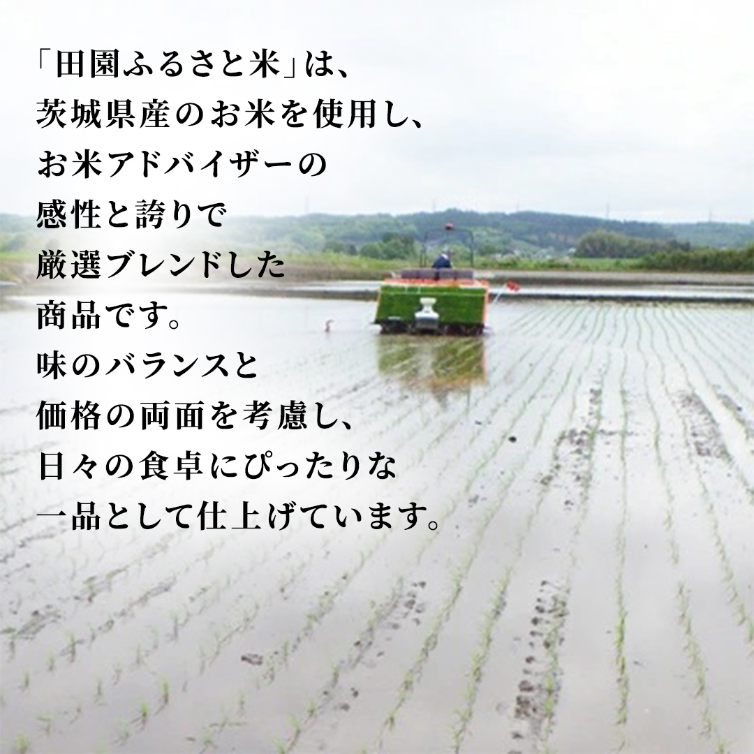＼最短3営業日以内出荷／ 田園ふるさと米 精米 5kg  令和7年産 精米 米 コメ こめ 限定 国産 美味しい お米 おこめ おコメ 茨城県産 (AX014)