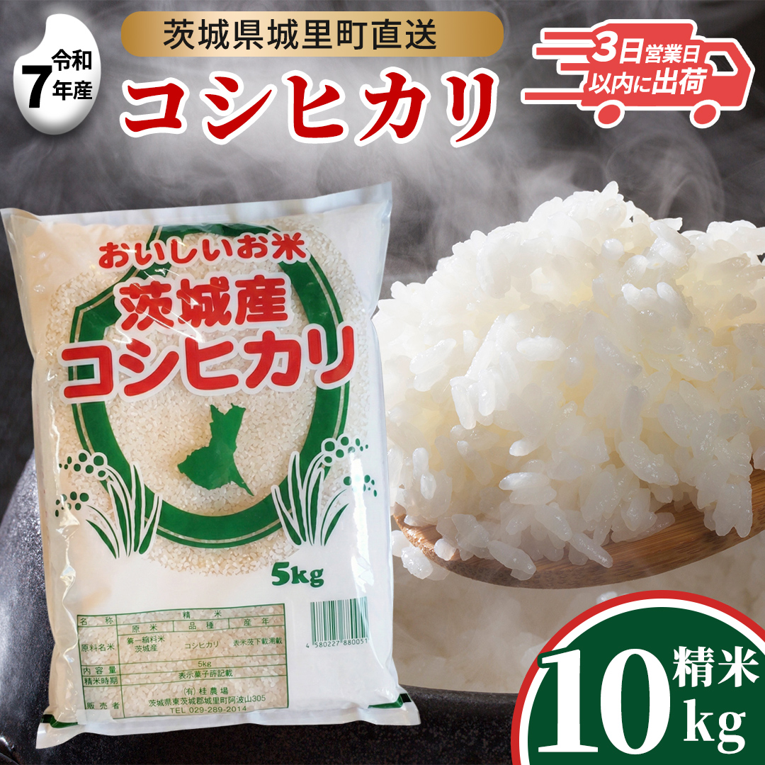 【令和7年産】 コシヒカリ 精米 10kg  (5kg×2袋)  スピード発送  産地直送 茨城県 城里町 新米 精白米 米 ご飯 こしひかり 米 白米 精米 単一原料米 (AX035)
