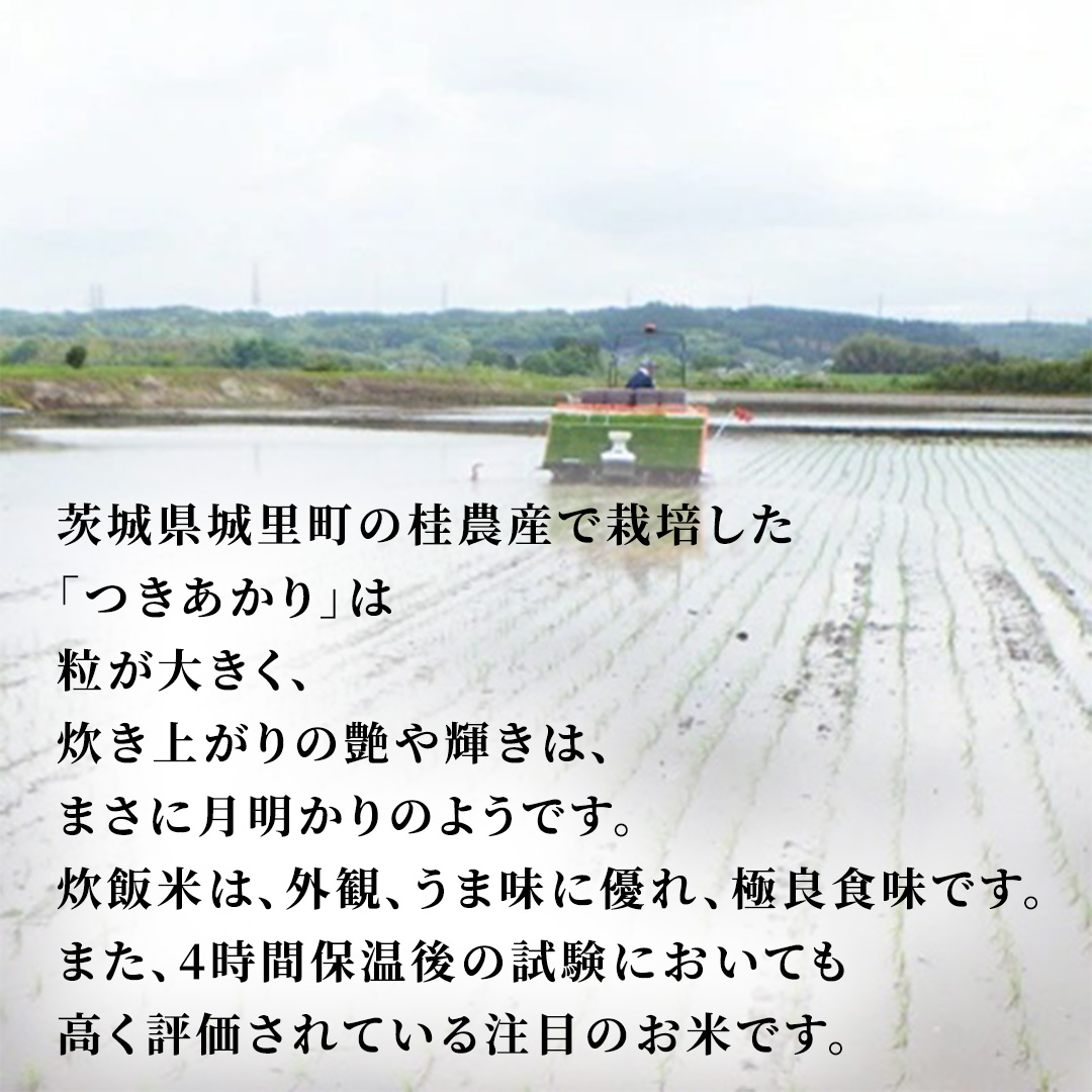 つきあかり 10kg (5kg×2袋) 令和7年産 精米 米 コメ こめ 単一米 限定 国産 美味しい お米 おこめ おコメ 茨城県 城里町産 (AX037)