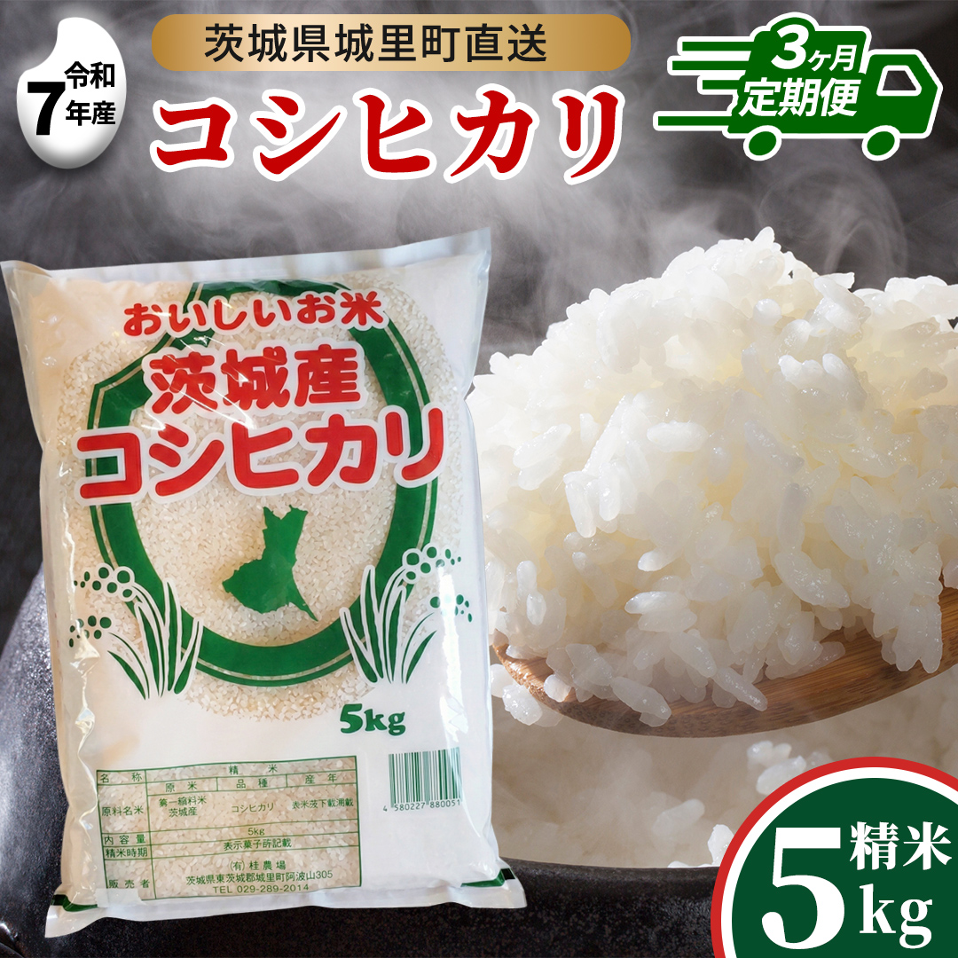 【 3回 定期便】 コシヒカリ 5kg ×3回 令和7年 精米  先行予約 産地直送 茨城県 城里町 新米 精白米 米 ご飯 こしひかり 米 白米 精米 単一原料米 (AX039)
