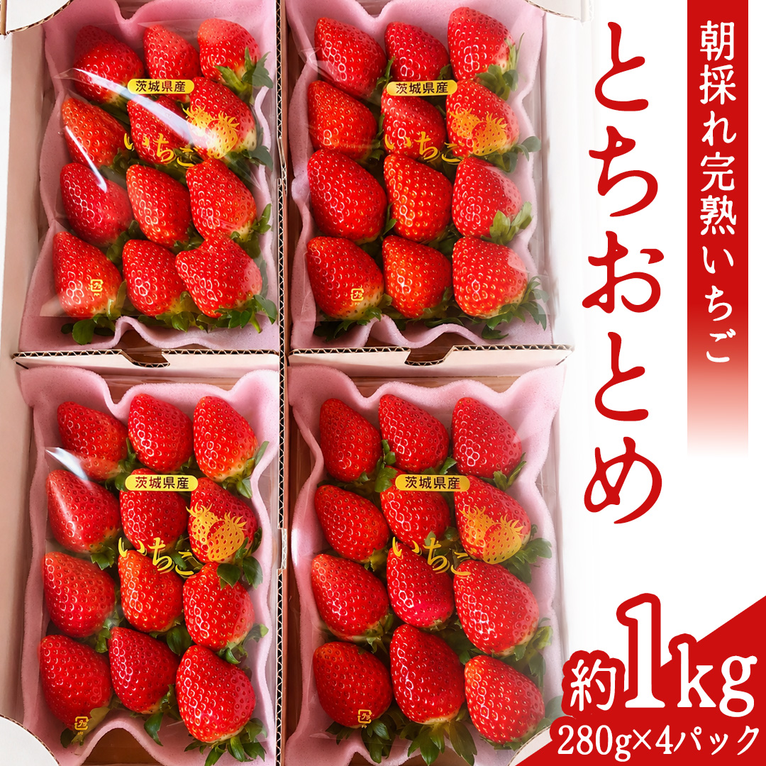 【2027年1月発送】 とちおとめ 約1kg （280g × 4パック）(BT002)